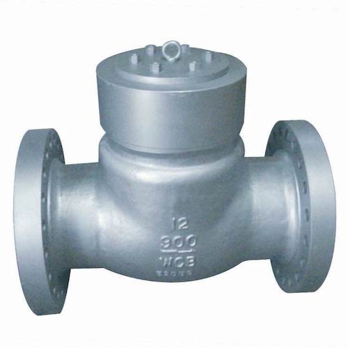 900LB Pressure Seal Check Valve